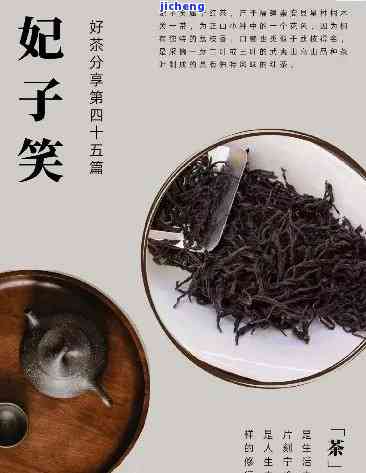 妃子笑茶属于什么茶图片