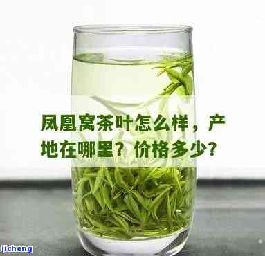 凤凰窝是什么茶类，揭秘茶叶世界：凤凰窝属于哪一类茶？