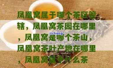 凤凰窝是什么茶的别称，探秘茶叶世界：了解凤凰窝——一种珍贵茶的别名