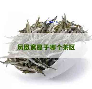 凤凰窝属于什么茶，揭秘凤凰窝：它属于哪种茶叶？