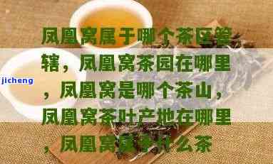 凤凰窝是什么茶-凤凰窝是什么茶?