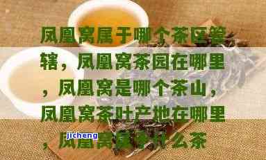 凤凰窝属于哪个茶区，揭秘凤凰窝茶的产地：它属于哪个茶区？