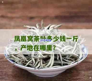 凤凰窝属于哪个茶区，揭秘凤凰窝茶的产地：它属于哪个茶区？