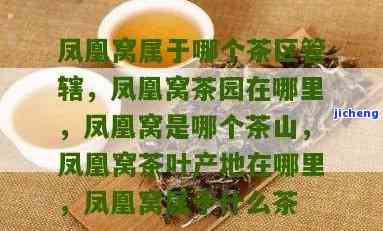 凤凰窝茶在哪里-凤凰窝茶叶产地在哪里