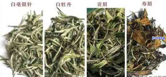 白牡丹茶的口味是什么，探索美味：揭秘白牡丹茶的独特口感