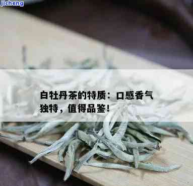 白牡丹茶味道怎么样，品尝白牡丹茶：揭示其特别的口感与香气