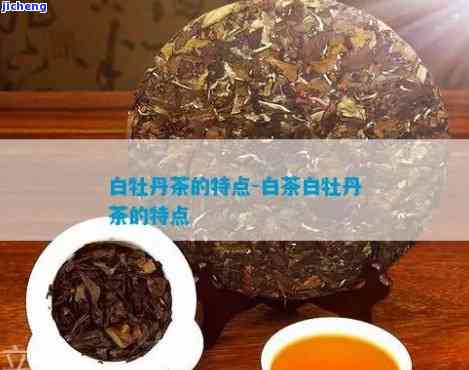 白牡丹茶的口味-白牡丹茶的口味特点