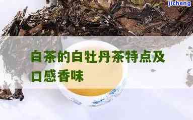 白牡丹茶的口味-白牡丹茶的口味特点