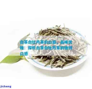 白牡丹茶的滋味特点，品味白牡丹茶：独特的滋味特点解析