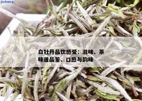 白牡丹茶的滋味特点，品味白牡丹茶：特别的滋味特点解析