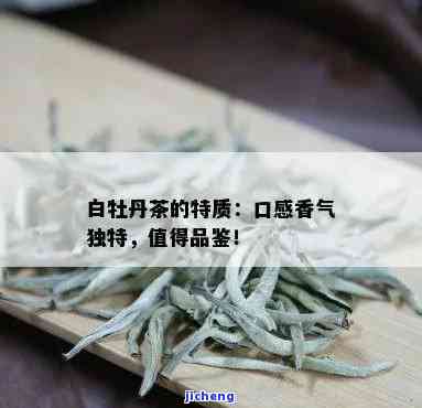 白牡丹茶的滋味怎么形容，品味白牡丹茶：怎样形容其特别的口感和香气？