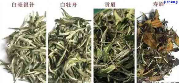 白牡丹茶的滋味-白牡丹茶的滋味特点