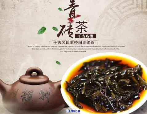 羊楼洞青砖茶5万入会，加入羊楼洞青砖茶会员，只需5万元！