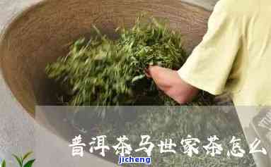 茶马世家的茶怎么样，品鉴茶马世家的茶叶：口感如何？