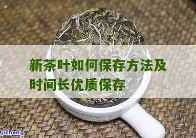 新茶的保存方式-新茶的保存方式有哪些