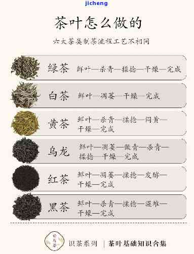 关于茶的知识资料，深入熟悉茶：一份全面的茶叶知识资料