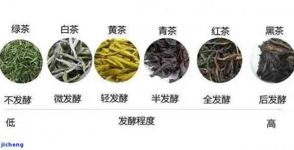 关于茶的知识资料，深入熟悉茶：一份全面的茶叶知识资料