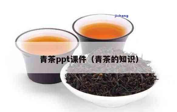 关于青茶的知识-关于青茶的知识资料