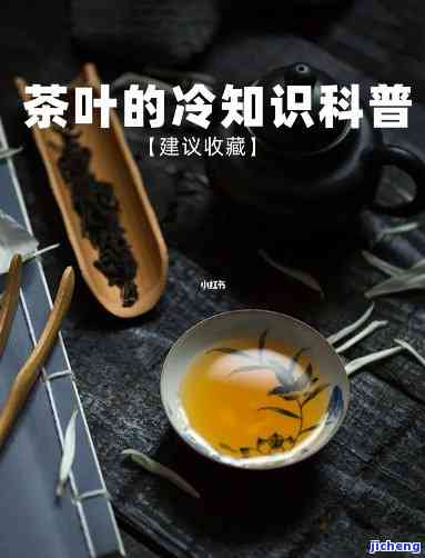 关于茶的冷知识科普：你所不知道的茶叶秘密