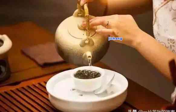 对茶的认识和理解，深入探索：对茶的熟悉与理解