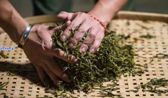 做茶有几个步骤，解析茶叶制作过程：熟悉做茶的几个关键步骤