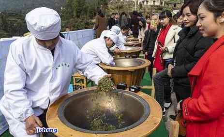 山间茶熟，采撷山间茶，品味自然香——探访中国茶园的奇妙之旅