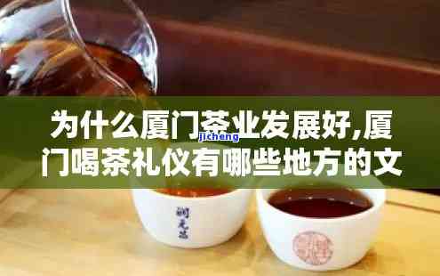 厦门茶有哪些，探寻厦门茶文化：揭秘当地知名茶叶