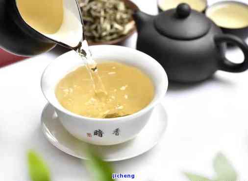 深入解析：茶的特点和功能是什么？