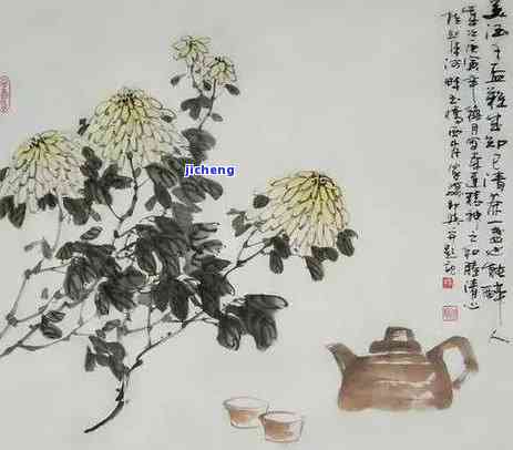 茶的特点和功能介绍，探索茶的特别魅力：特点与功能解析