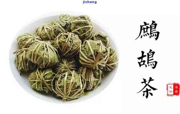 鹧鸪茶是哪里的特产，探寻美味：揭秘鹧鸪茶的产地与特色