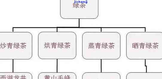 茶的结构图：详解茶叶的三大部分及其构造