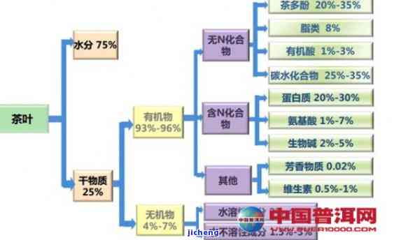 茶的结构图：详解茶叶的三大部分及其构造