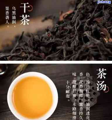 千年老妖茶红茶好喝吗，千年老妖茶，红茶中的佼佼者？