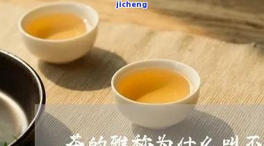 茶的雅称不夜-茶的雅称为什么叫不夜