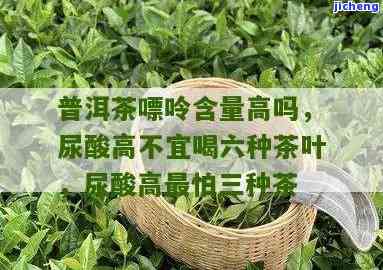 茶的嘌呤高不高-茶的嘌呤高不高呀