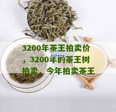 3200年茶树王价格，探究3200年茶树王的市场价值与价格走势