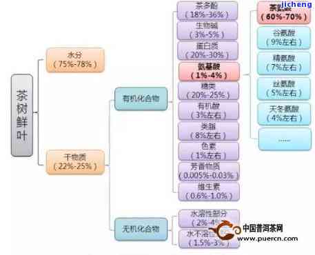 探究茶树年龄与代谢期关系：图表解读及作用因素分析