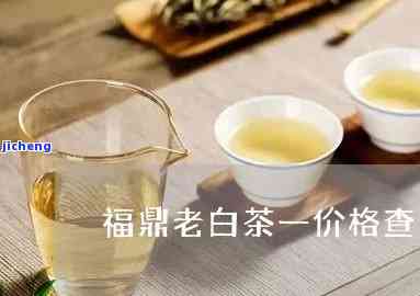 福鼎白茶陈年老白茶价格多少？一斤、一盒的售价是多少？