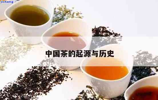 简析茶的起源：从发现到现代的发展历程