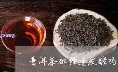 青茶的发酵程度为____，深入熟悉青茶：探讨其特别的发酵程度