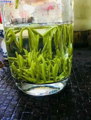 子菁茶特点，探索子菁茶的特别魅力：特点解析