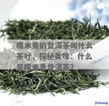 糯米香茶属于什么茶，探秘糯米香茶：它属于哪种类型的茶？