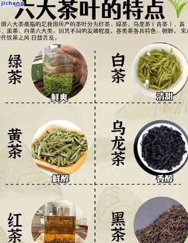 茶的品种与特点有哪些，探究茶叶的世界：品种与特点全解析