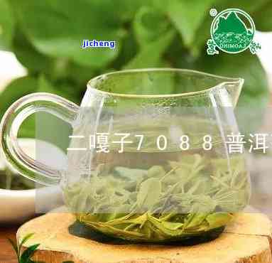 二嘎子茶的特点-二嘎子茶的特点是什么