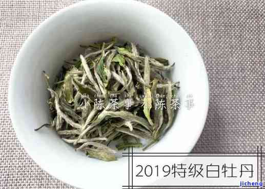 白牡丹茶：特点、功效与作用全解析