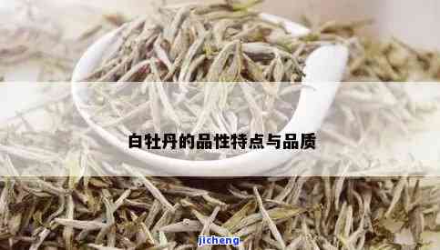 白牡丹茶的特点有哪些，探秘白牡丹茶：特别特点与魅力解析