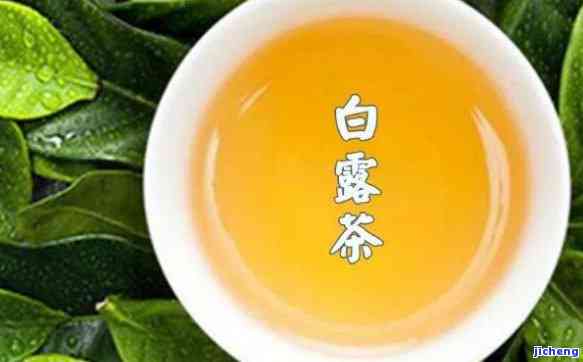 秋白露茶的特点-秋白露茶的特点是什么