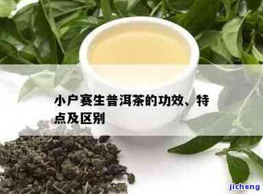 小户赛茶的特点-小户赛茶的特点口感