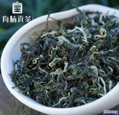 狗脑贡茶的特点-狗脑贡茶有什么特点