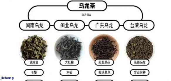 青茶的工艺流程-青茶的工艺流程是什么?